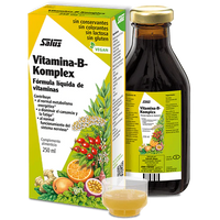 Ampolla de Vitamina B-Komplex de SalusFlora en botella de 250 ml, vista del envase con etiqueta y líquido amarillo.