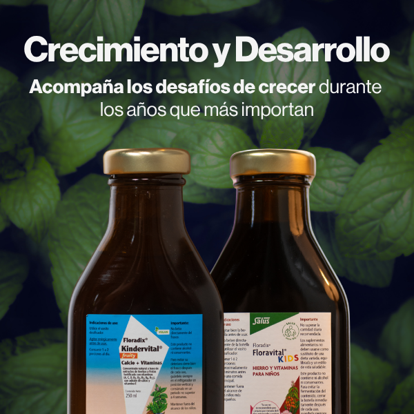 Paquete de 3 meses de SalusFlora para crecimiento y desarrollo, con frascos y etiquetas visibles.