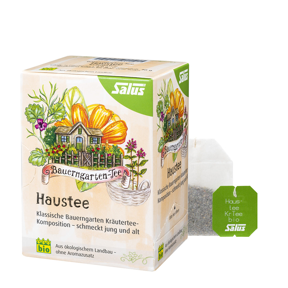 Planta Haustee Hogareña de SalusFlora en maceta, ideal para decorar interiores y purificar el aire en el hogar.