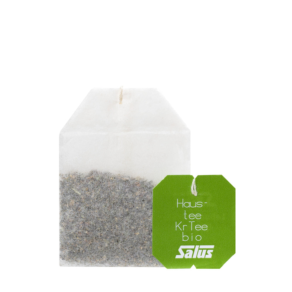 Planta Haustee hogareña SalusFlora en maceta, ideal para decorar interiores con follaje verde y saludable.