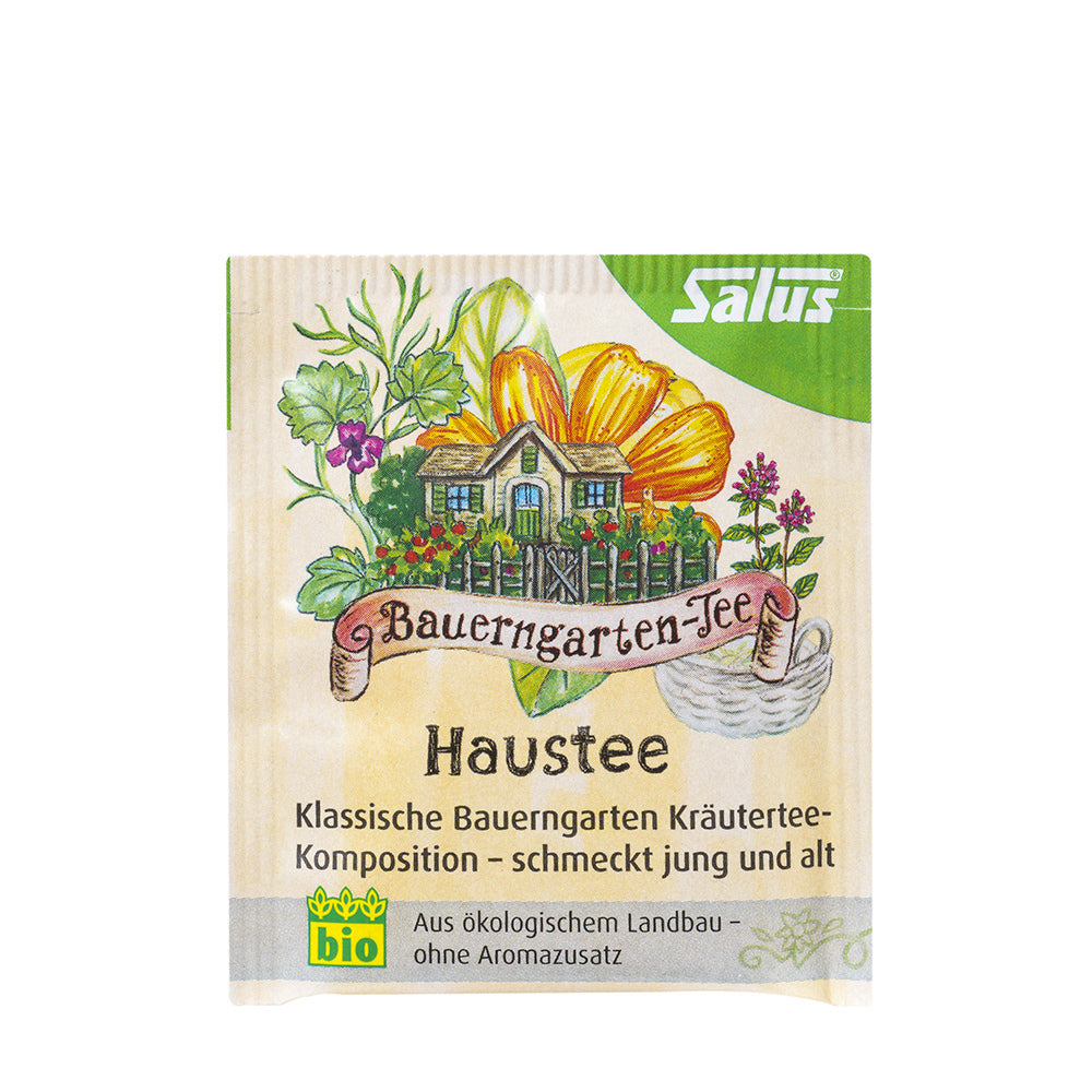 Haustee hogareña SalusFlora en maceta con follaje verde y frondoso para decorar interiores y mejorar el ambiente del hogar.