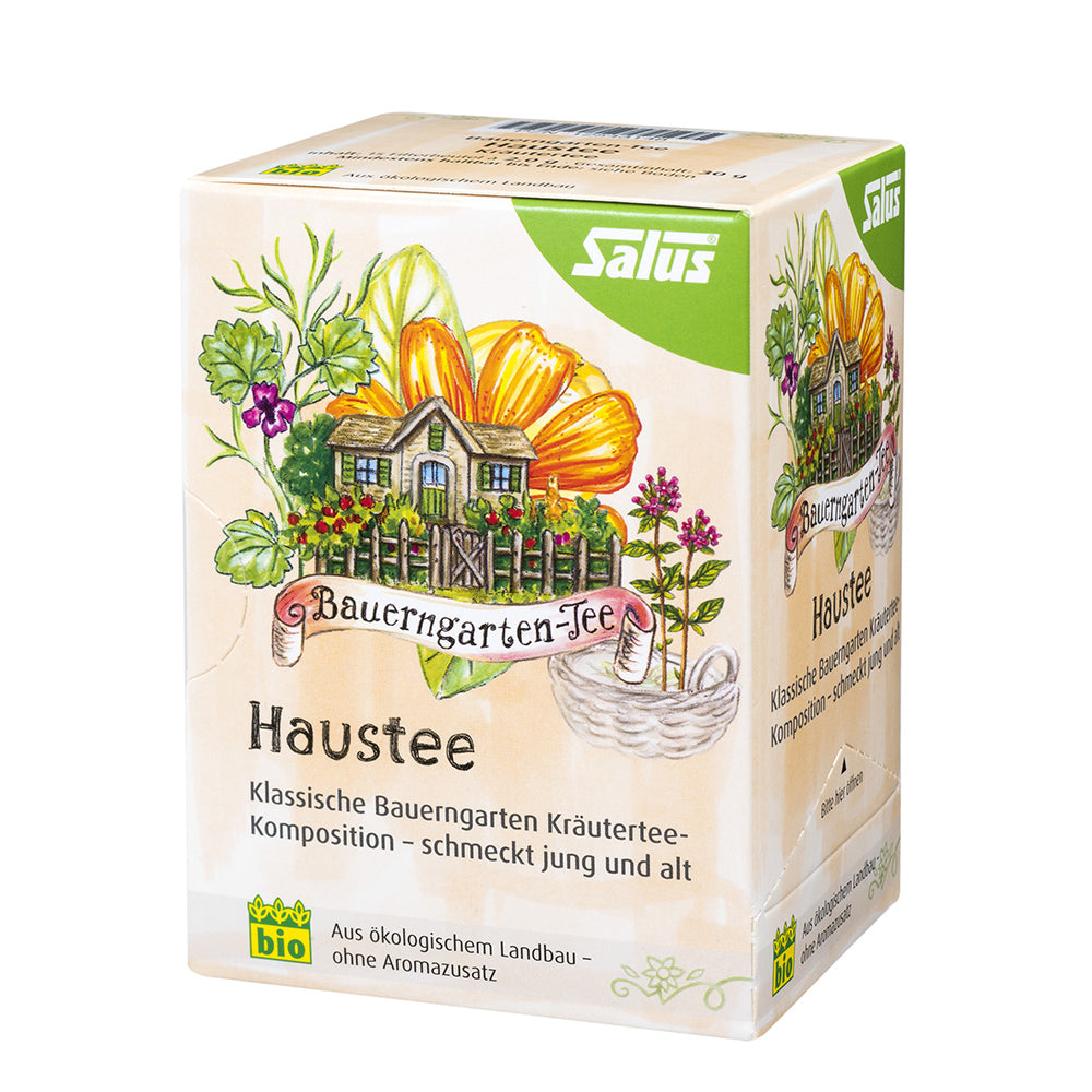 Planta de interior Haustee Hogareña de SalusFlora en maceta decorativa, ideal para decorar espacios del hogar y purificar el aire.