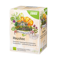 Planta de interior Haustee Hogareña de SalusFlora en maceta decorativa, ideal para decorar espacios del hogar y purificar el aire.